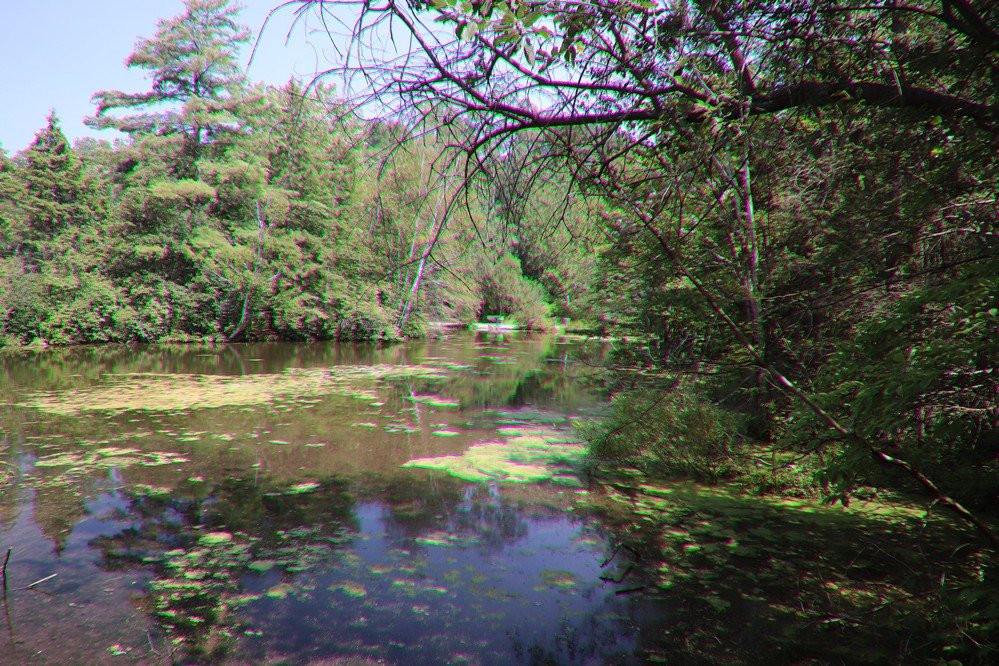 St. Johns Conservation Area-Thorold必去景点