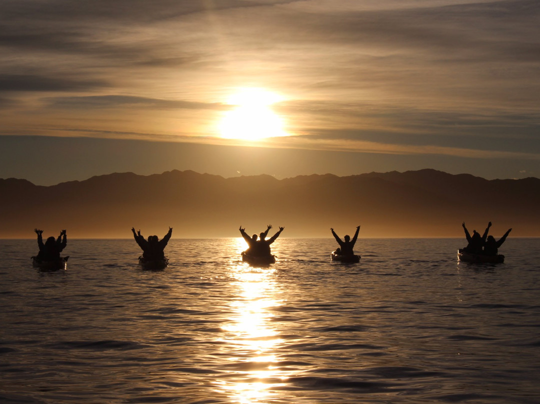 Seal Kayak Kaikoura-Kaikoura必去景点