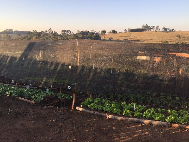 Pardinho旅游攻略图片