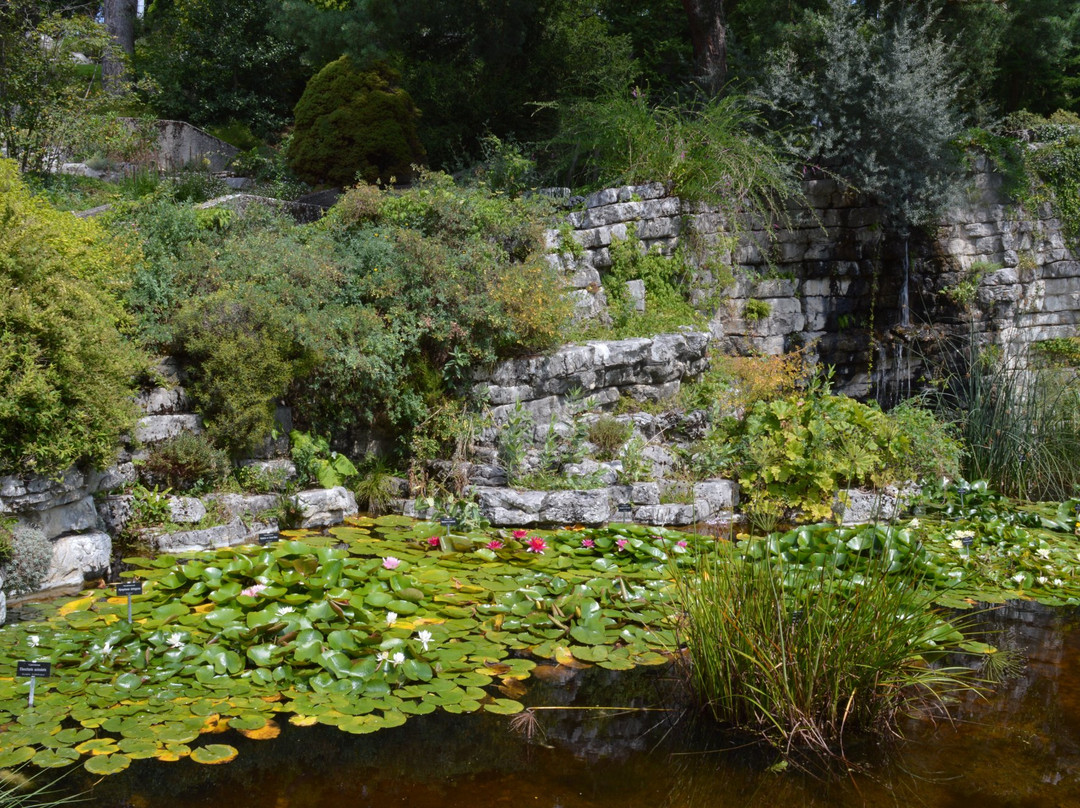 Jardin Botanique Lausanne景点图片