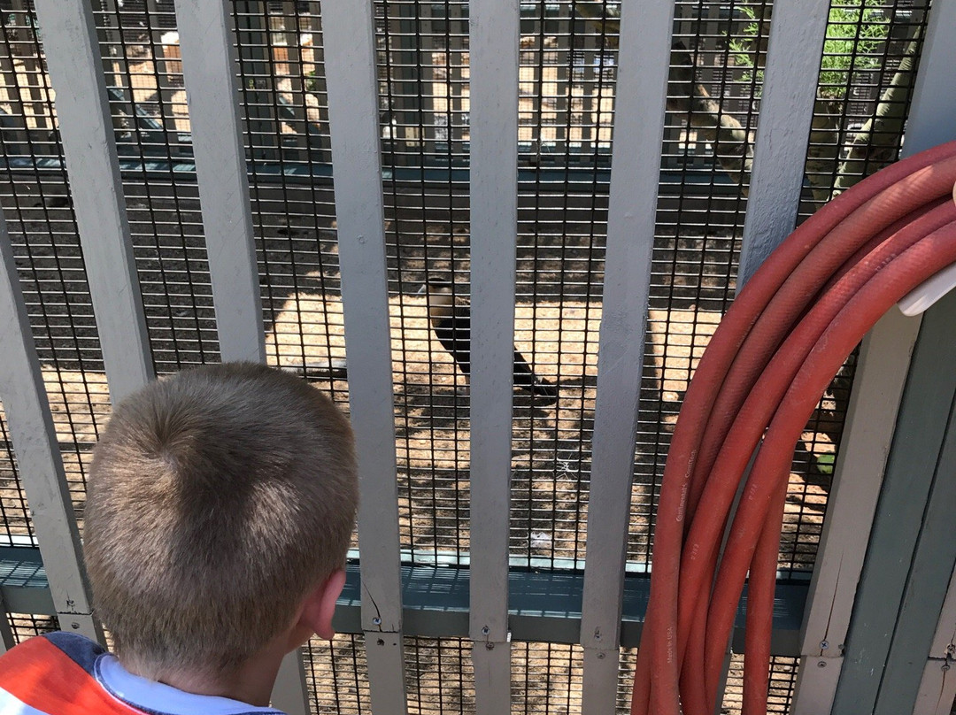 Wild at Heart-洞溪必去景点