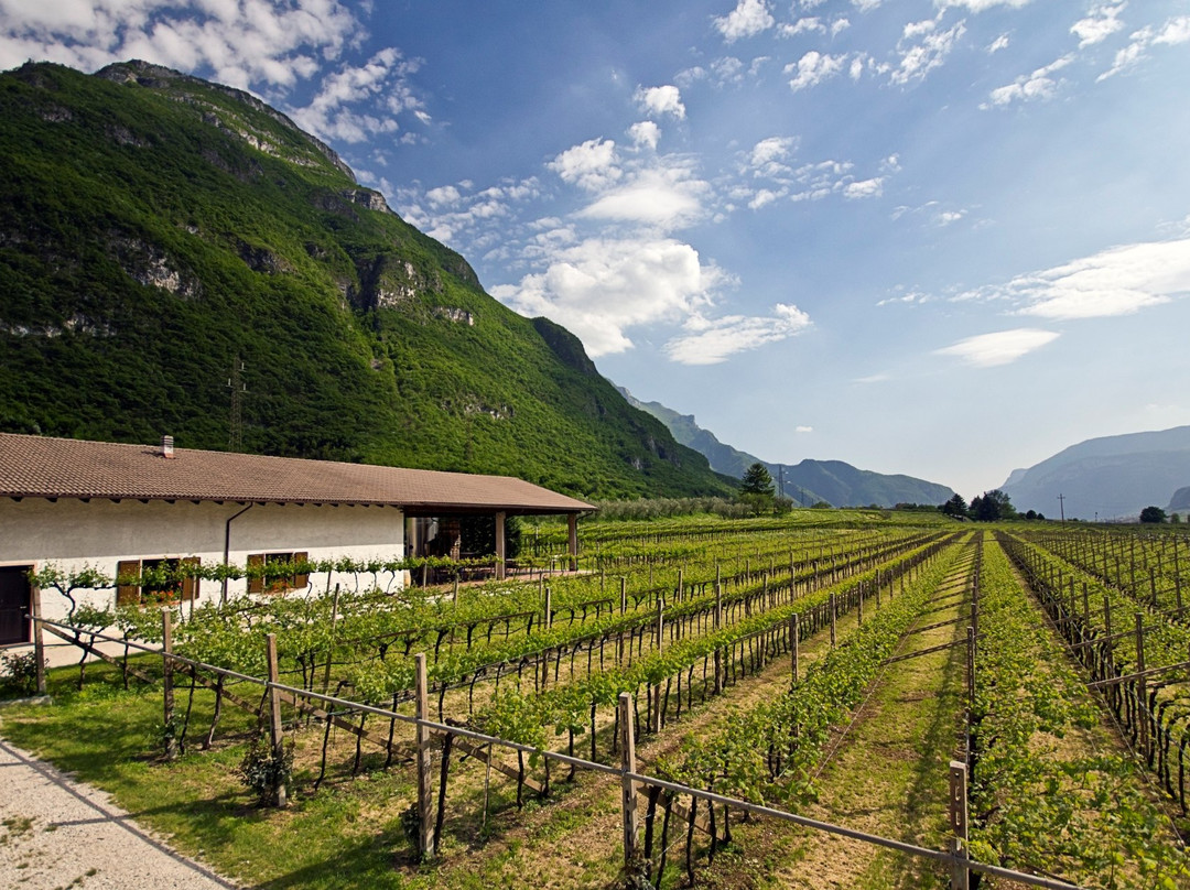 Maso Roveri-Avio必去景点