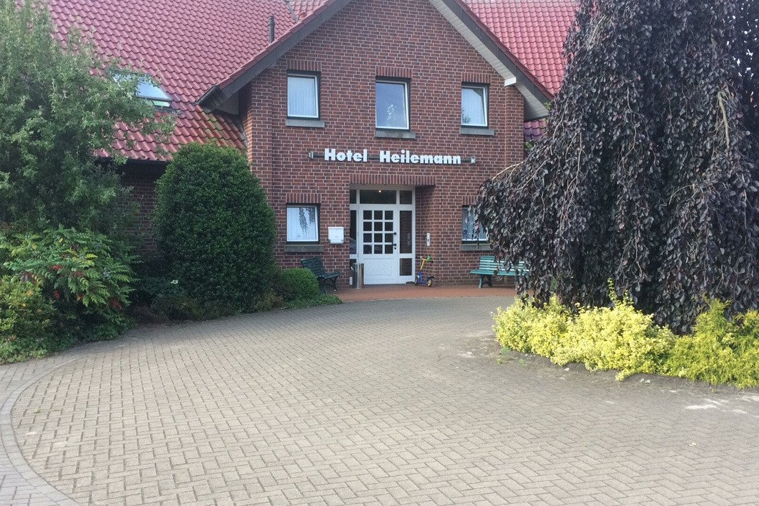 Heilemann主图
