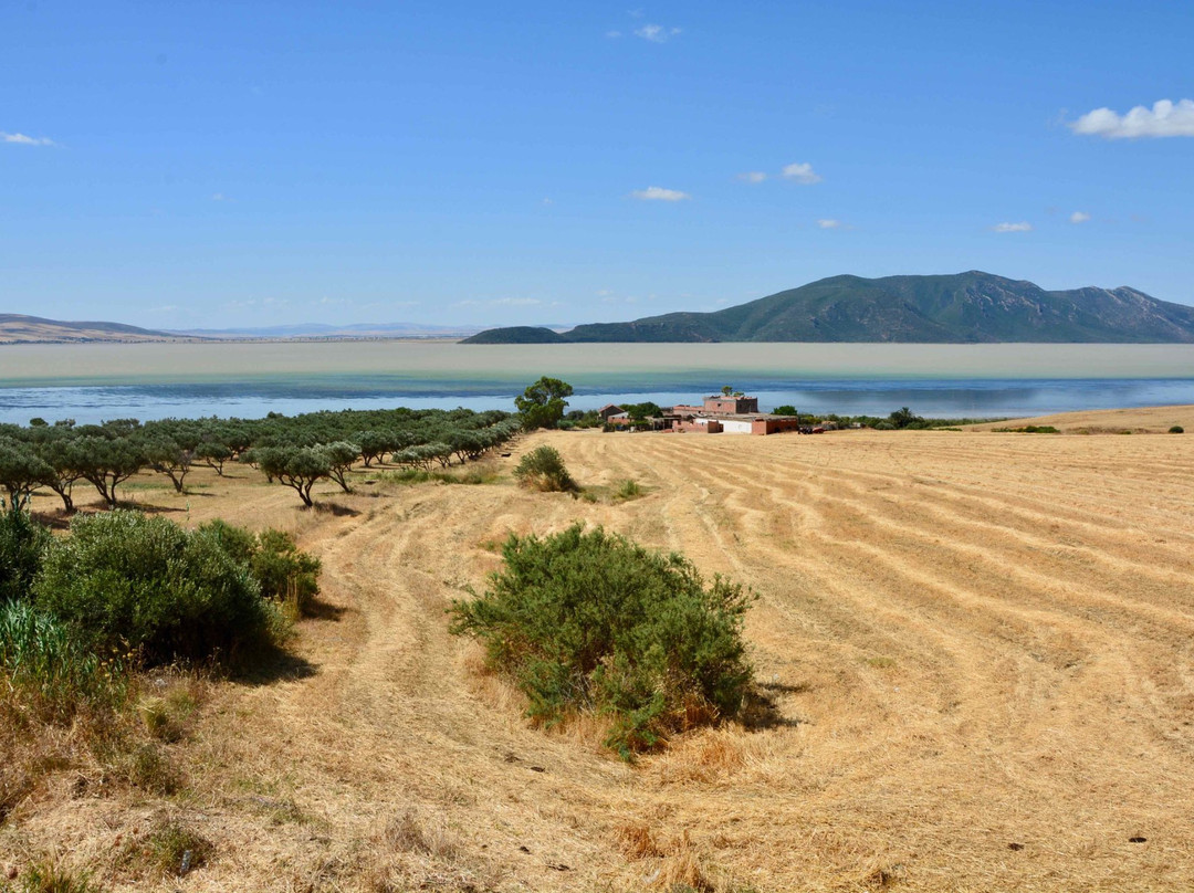 伊斯克乌尔国家公园