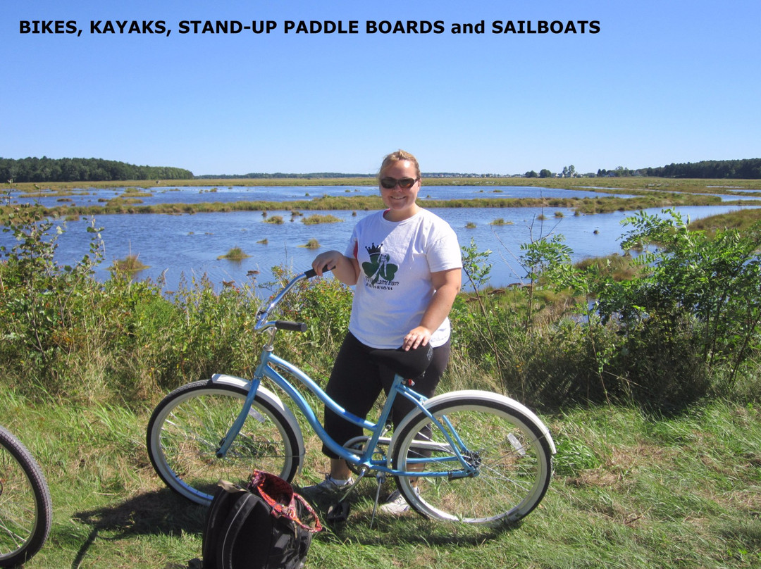 Fun And Sun Rentals-斯卡伯勒必去景点