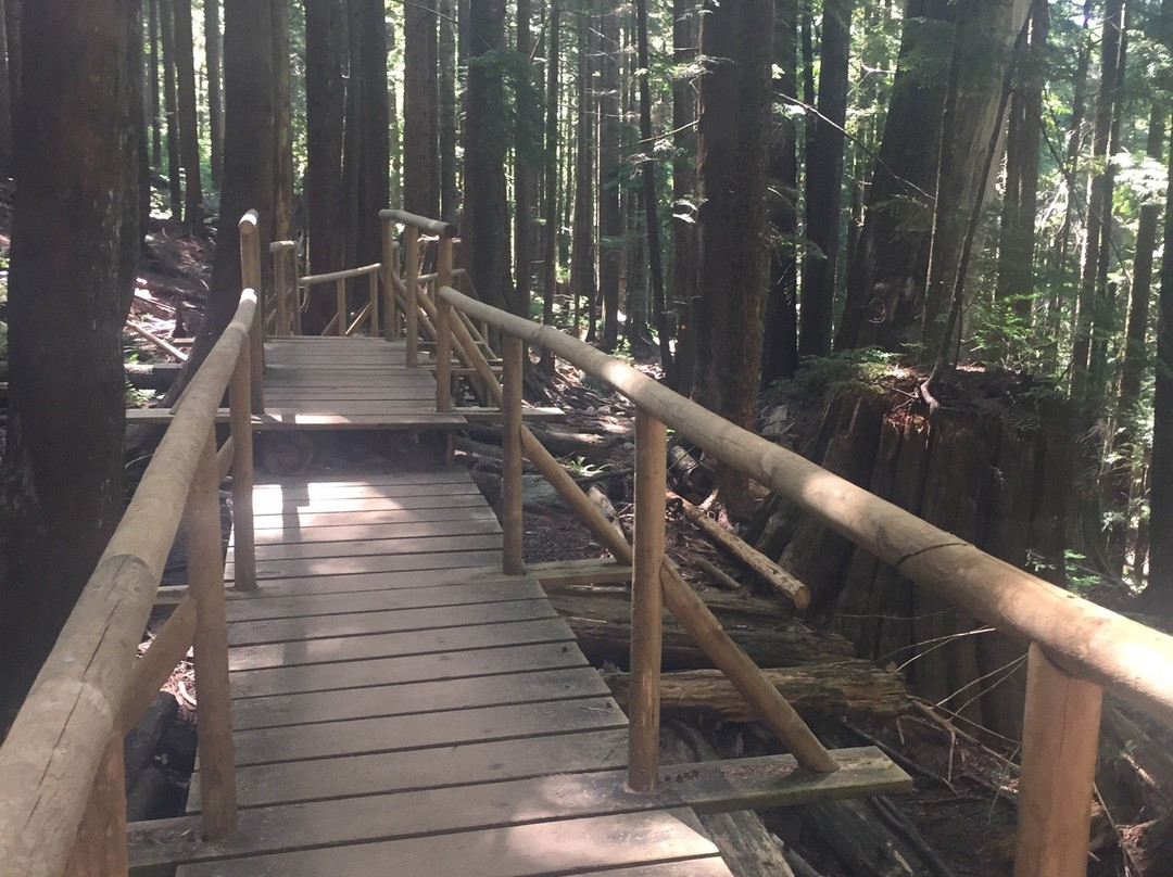 Norvan Falls-北温哥华必去景点