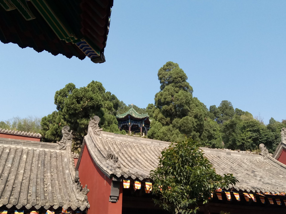 月山寺-博爱县必去景点