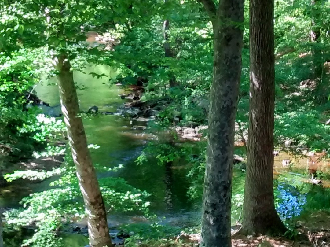 Glen Allen Greenhouse景点图片