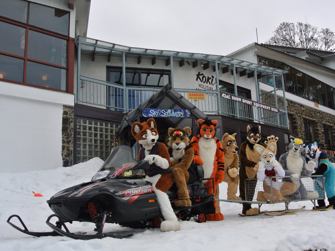 Koki Alpine Resort主图