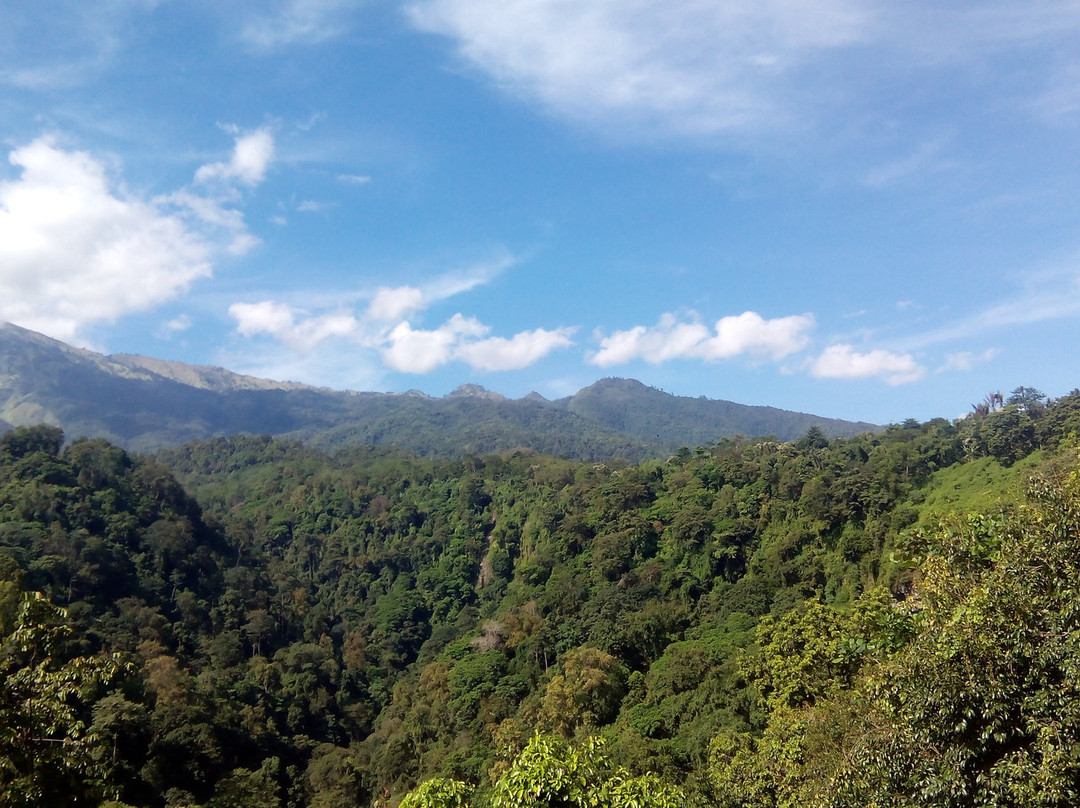 Rody Trekking景点图片