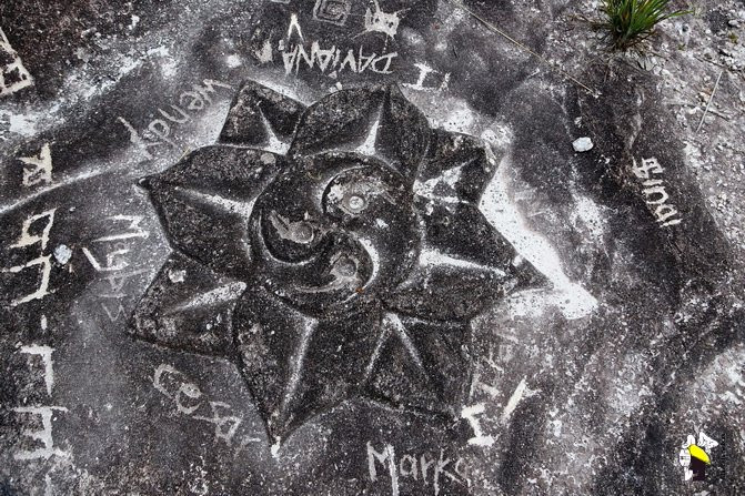 El Pauji-卡奈玛国家公园必去景点