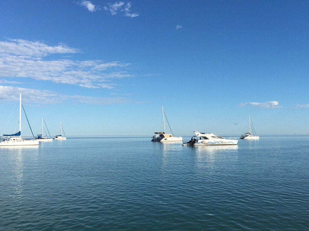 华维斯湾餐馆和美食-Walvis Bay Yacht Club Restaurant