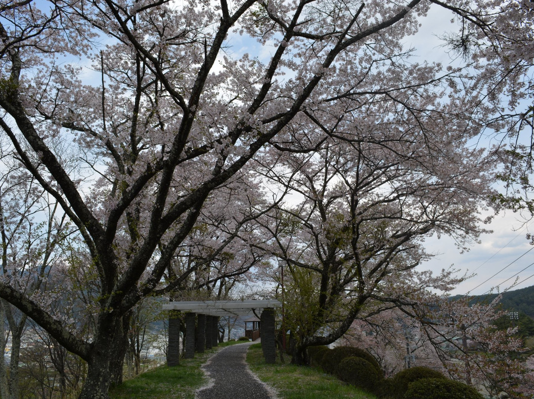 Kojinyama Park景点图片