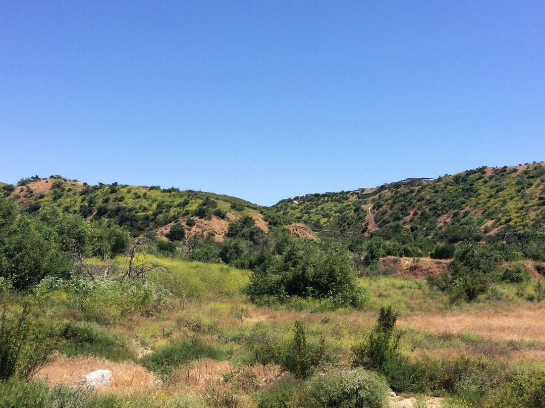 Chino Hills Campground