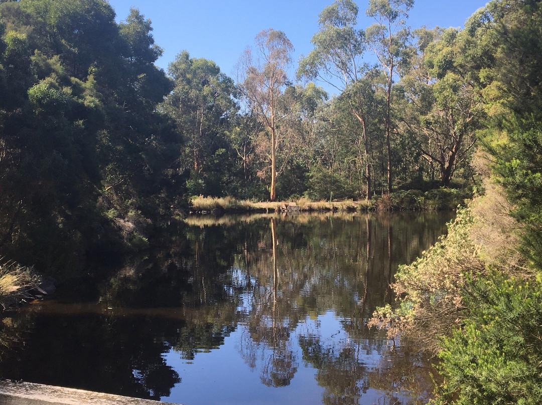 Yarrunga Reserve-墨尔本必去景点