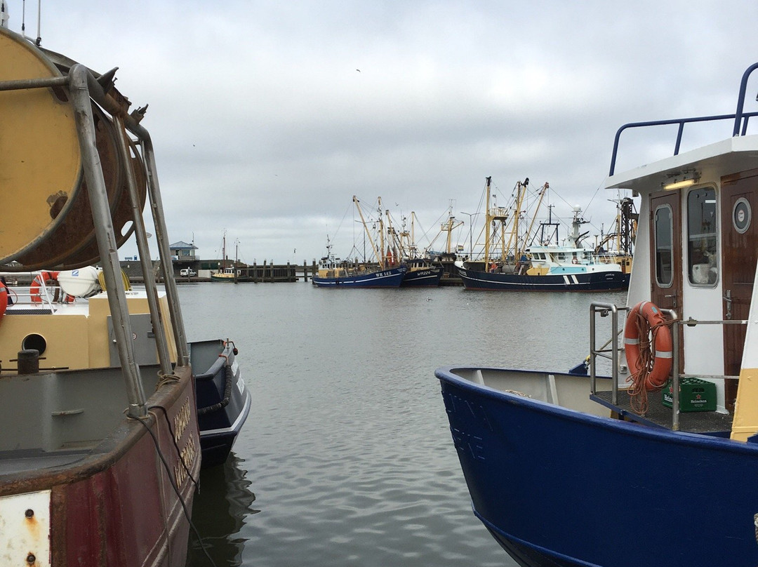 DenOever-Den Oever必去景点