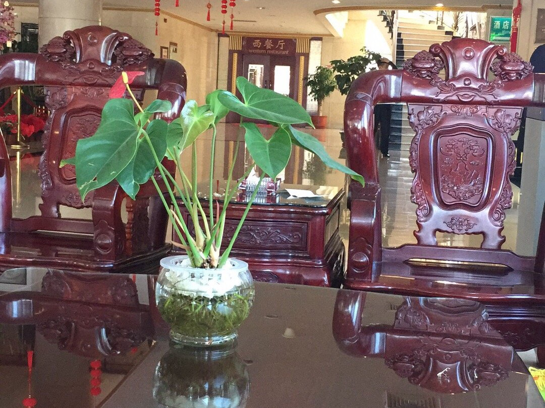 千江温泉酒店主图