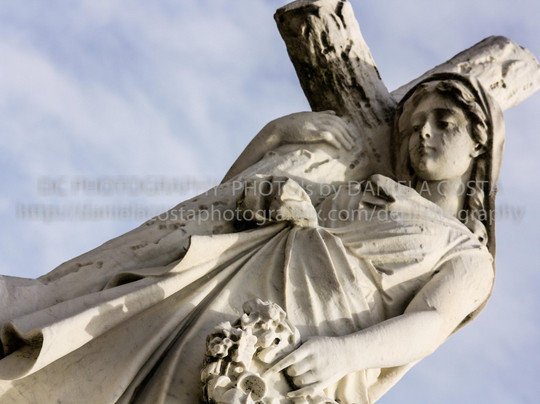 Cemitério da Lapa-波尔图必去景点