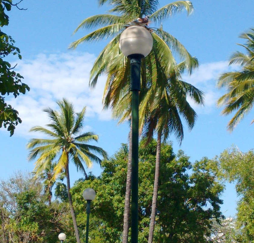 Jardin Nunez-Colima必去景点