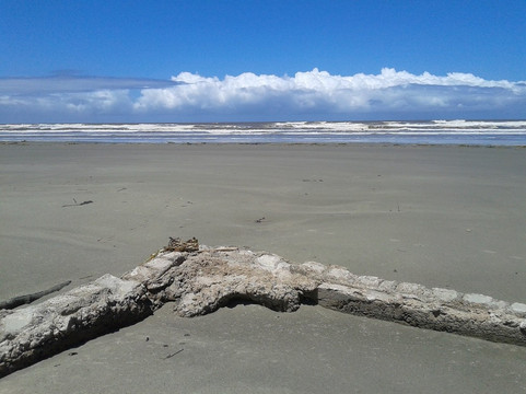 Ponta da Praia Beach-Ilha Comprida必去景点