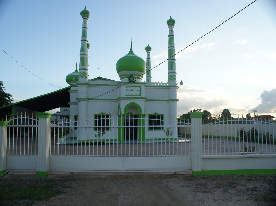 Ahmadiyya Muslim Nasir Mosque景点图片