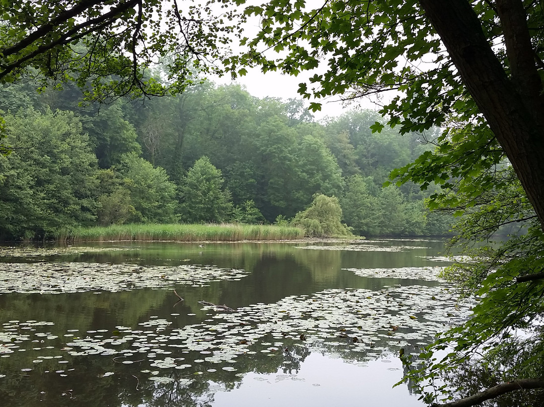 Forêt Domaniale de Meudon景点图片