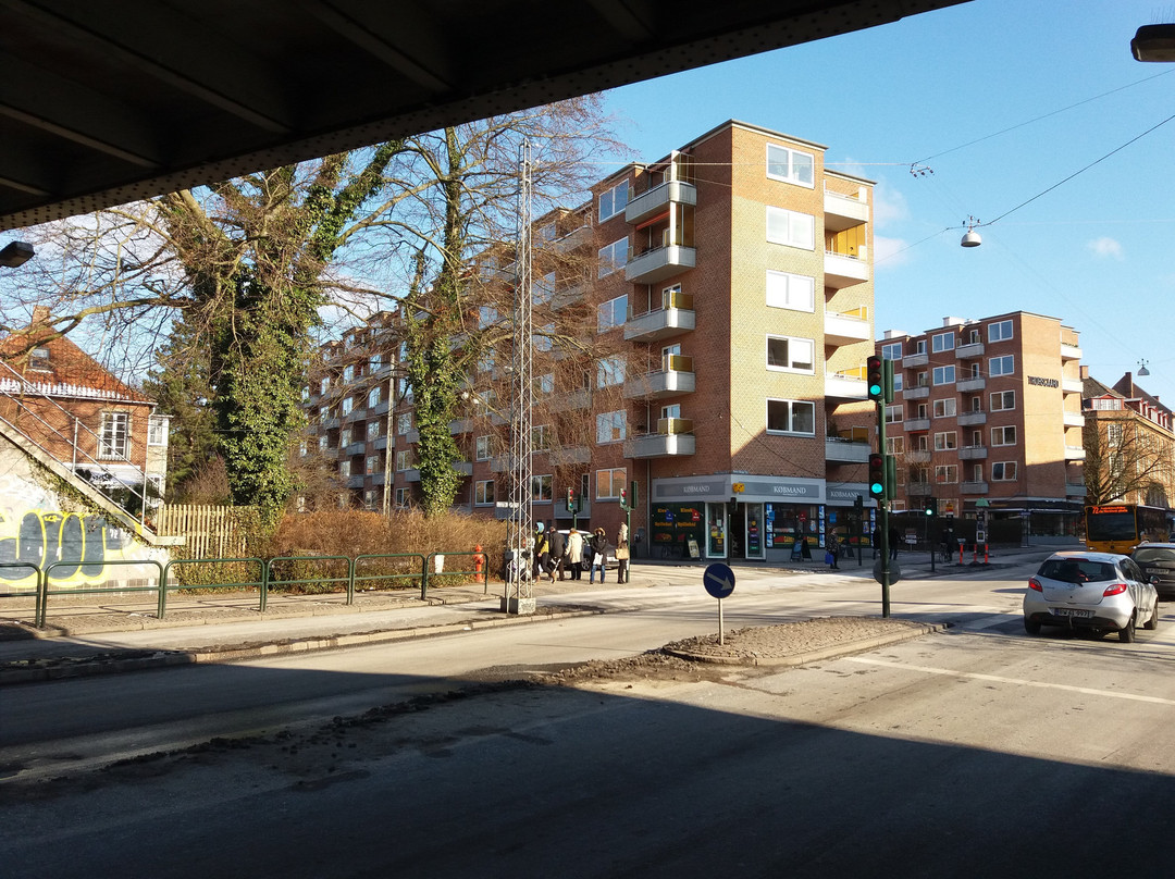 Journey Man Bike Tours-腓特烈堡必去景点