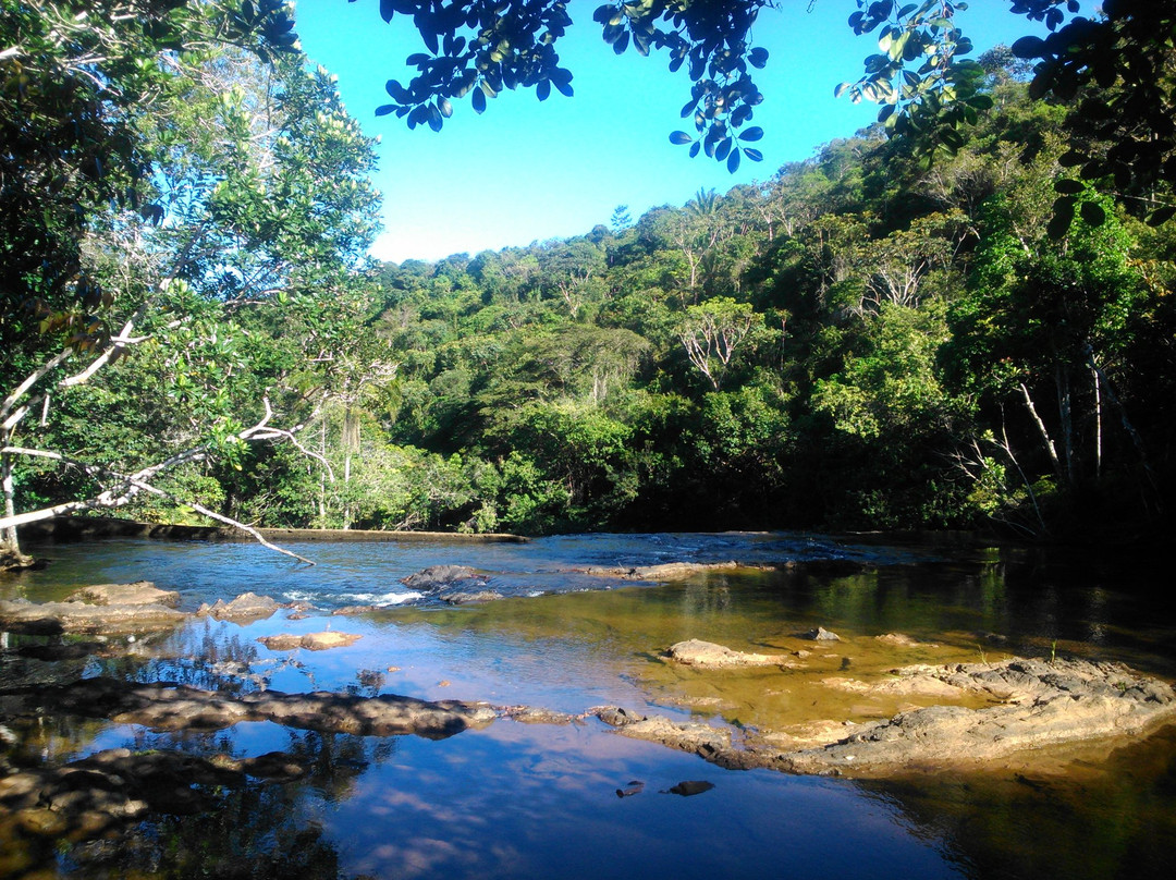 Bicho-preguiça Ecoturismo-Itacare必去景点