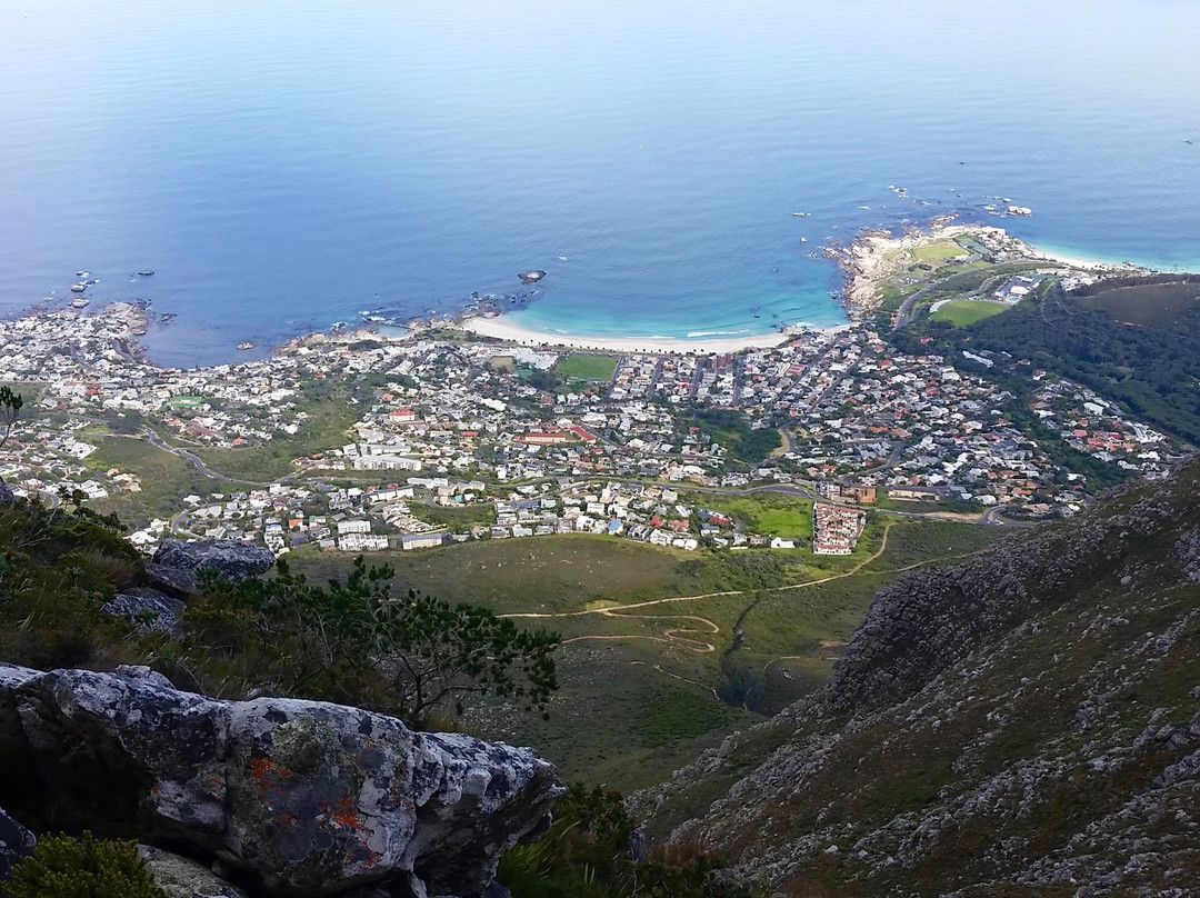 Hike Addicts-开普敦中心区必去景点