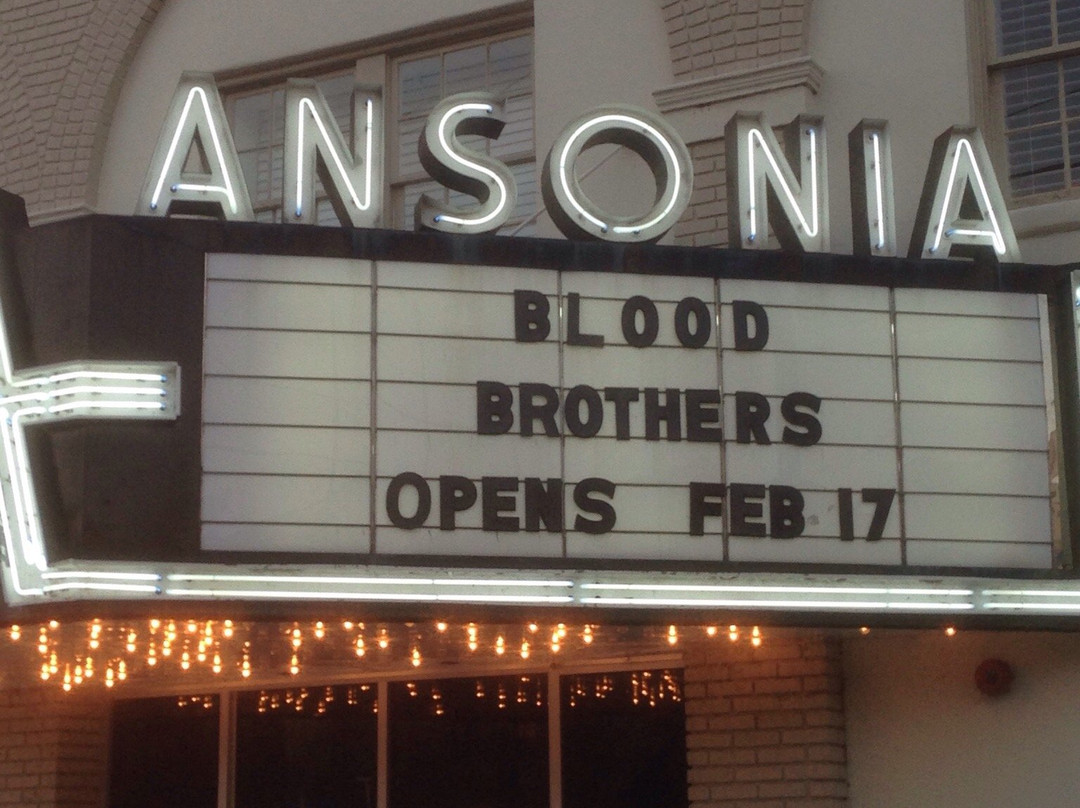 Ansonia Theatre景点图片