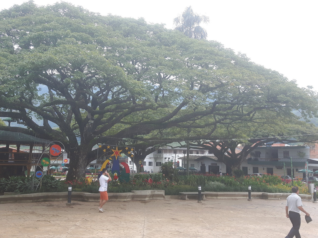 Parque Principal景点图片