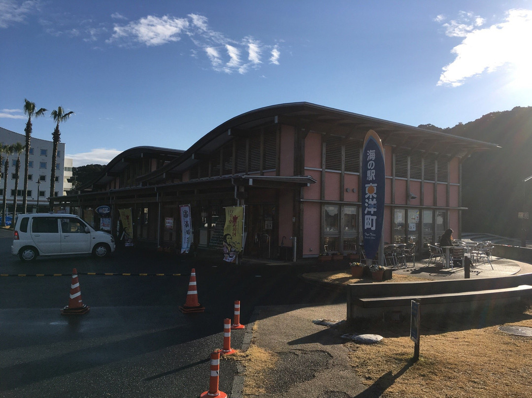 Umi no Eki Toyo-东洋町必去景点