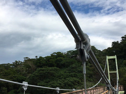 Nago Cherry Blossom Matsuri-名护市必去景点