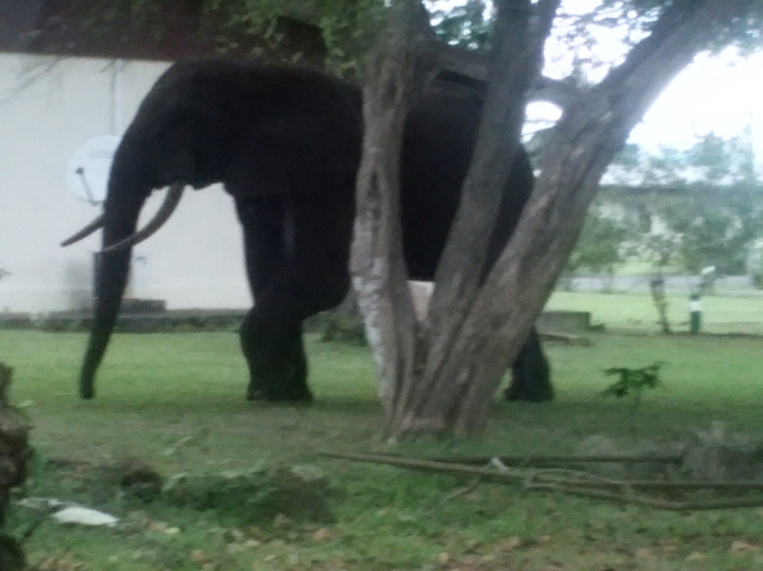 Ivindo National Park-Ogooue-Ivindo Province必去景点
