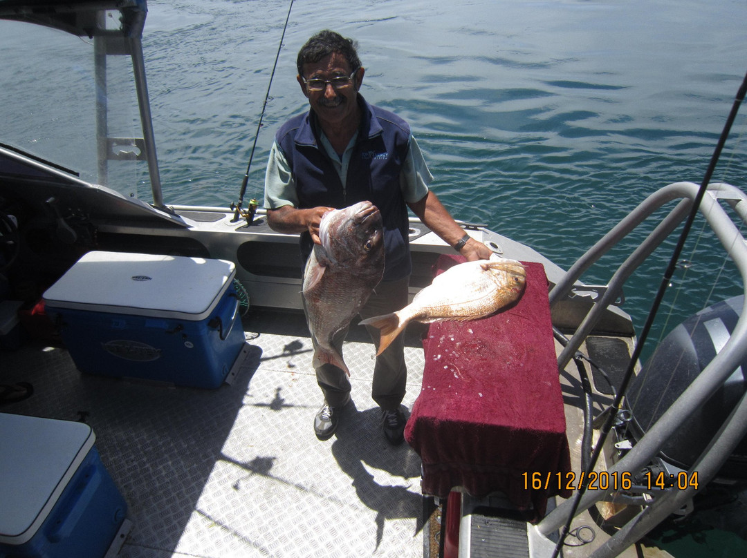 Houhora fishing charters