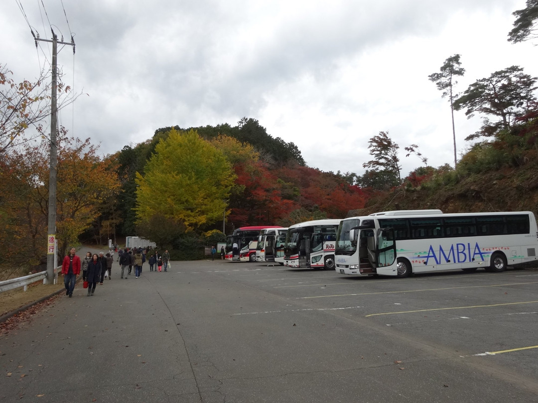 Shuzenji Nature Park-伊豆市必去景点