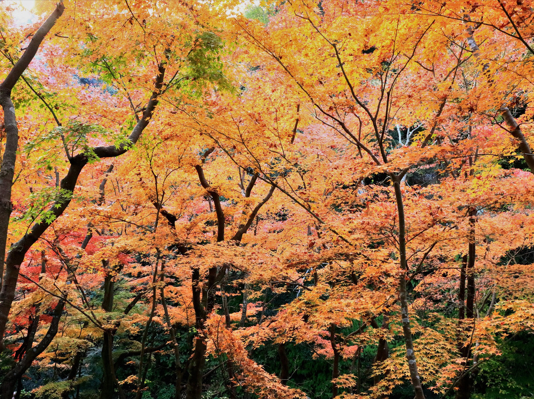 Ichijyo Ekan Sanso-镰仓市必去景点