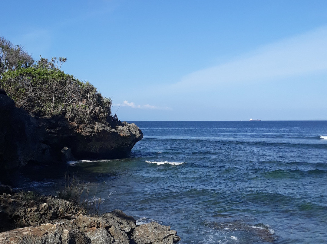 Pulau Nusa Dharma景点图片