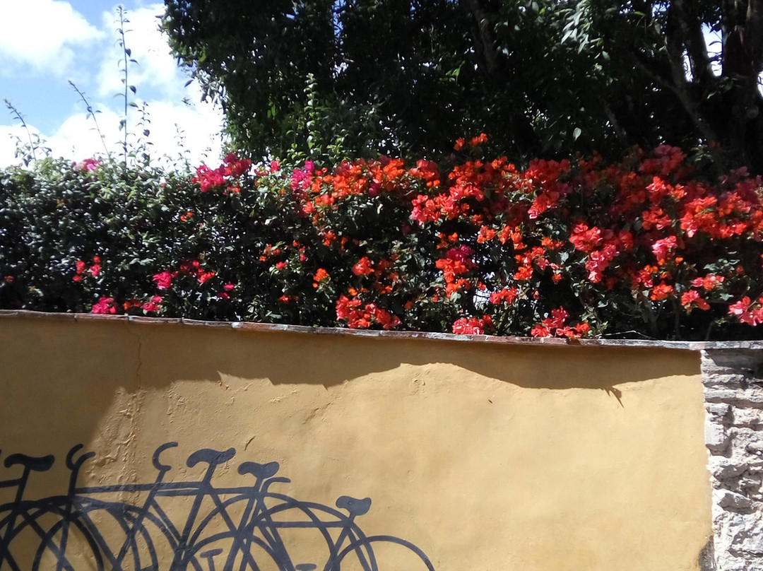 Hacienda La Trinidad Parque Cultural景点图片