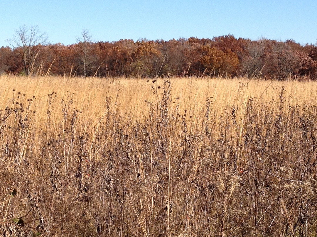 Waterfall Glen Forest Preserve-Darien必去景点