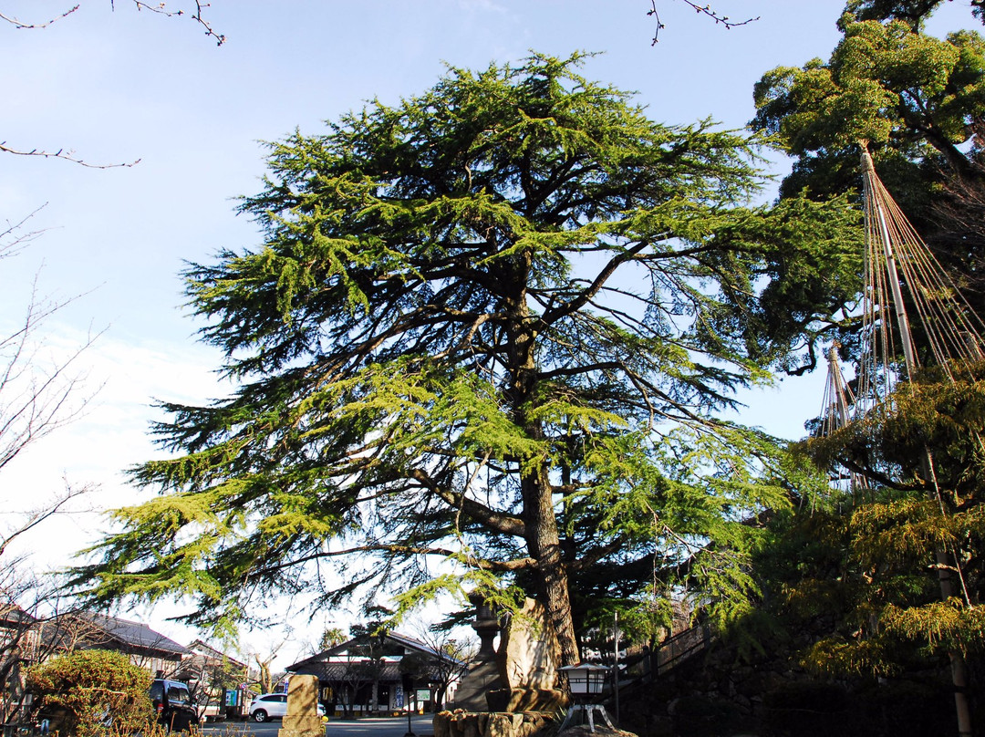 Daijyoji Temple-香美町必去景点