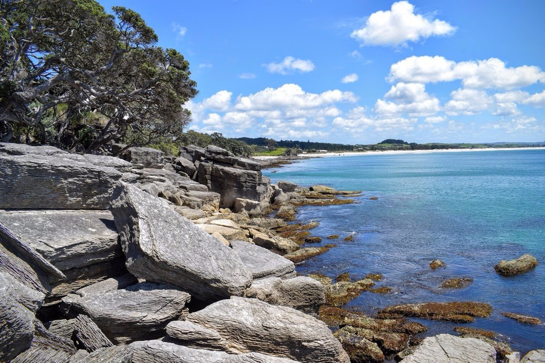 Waipu Coastal Trail景点图片