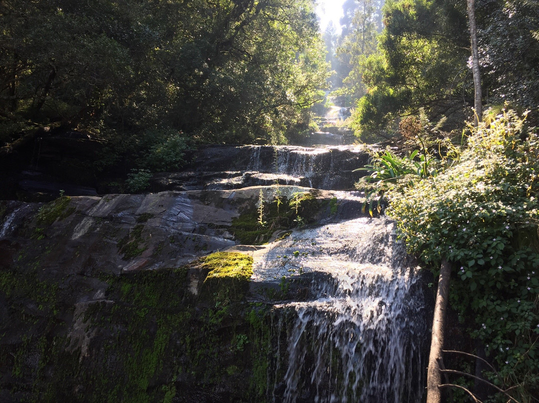 Hogsback旅游攻略图片