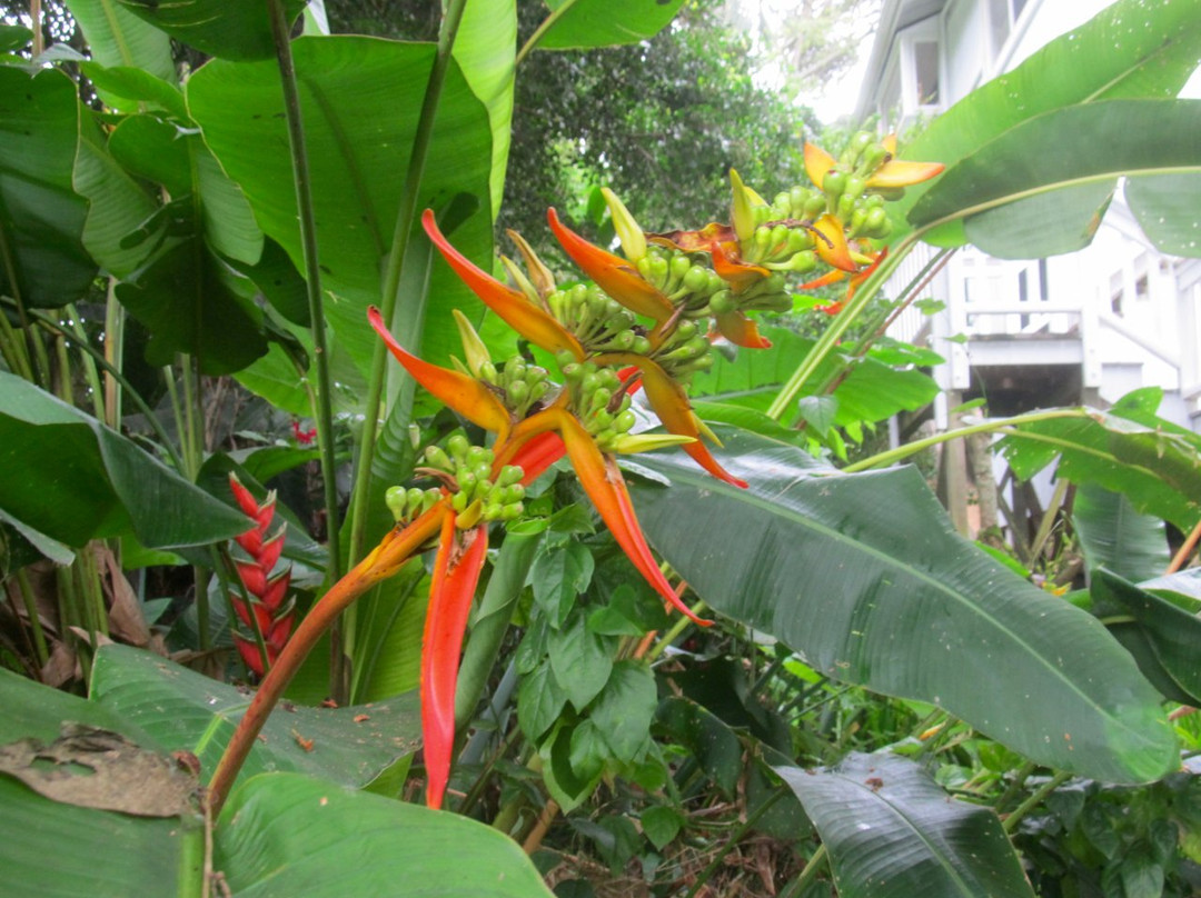 Kahekili Ridge hike-卡阿瓦必去景点