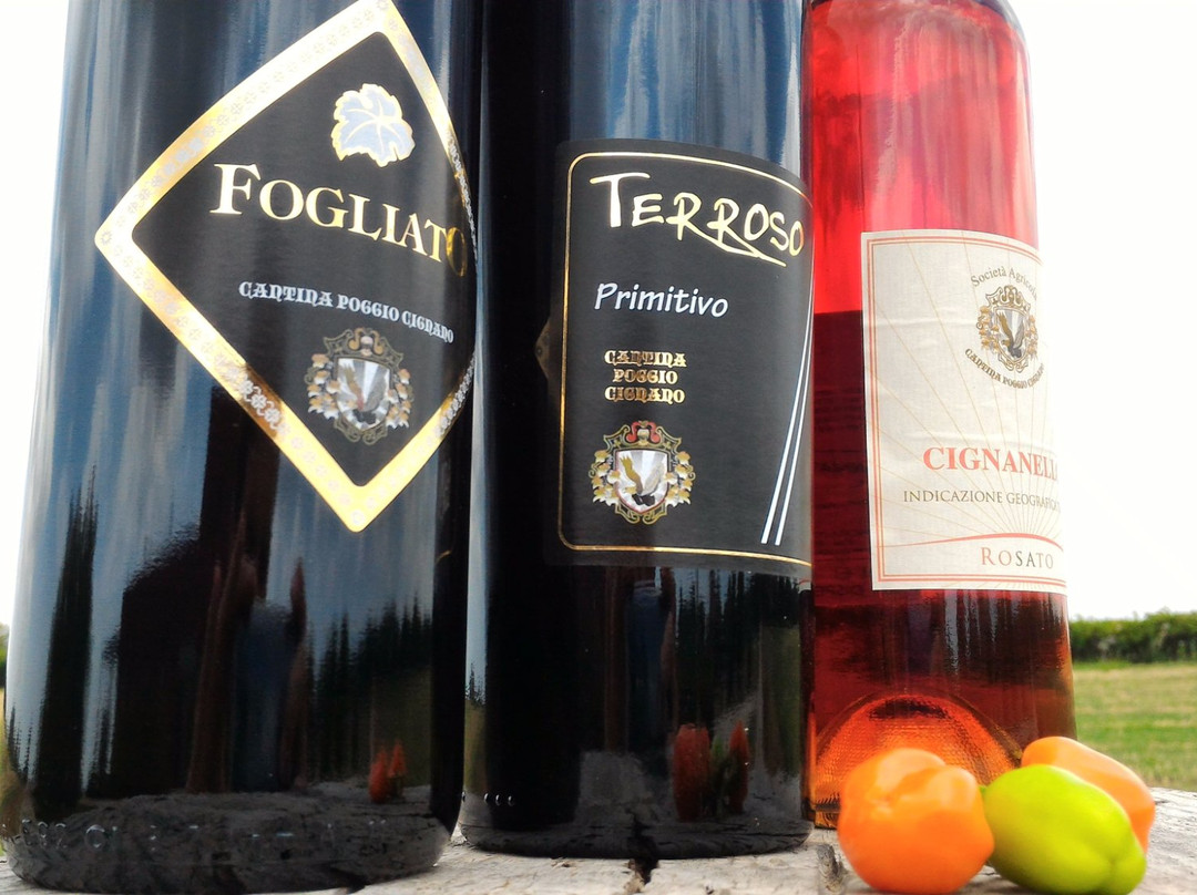 Cantina Poggio Cignano-Ginosa必去景点
