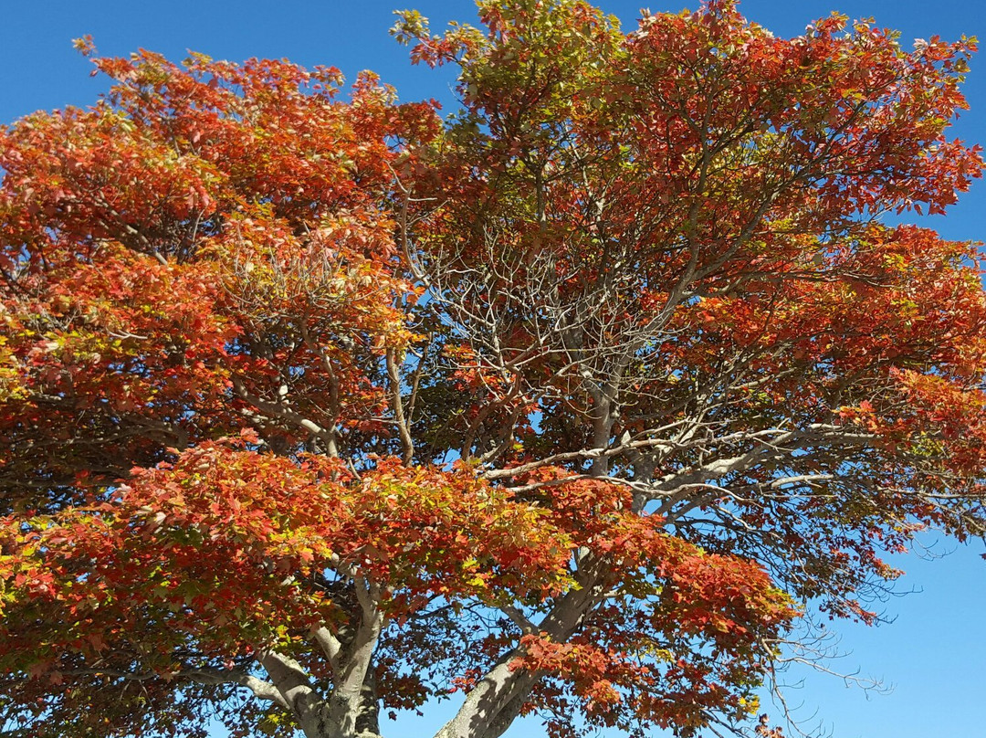 Waterford Beach Park-Waterford必去景点