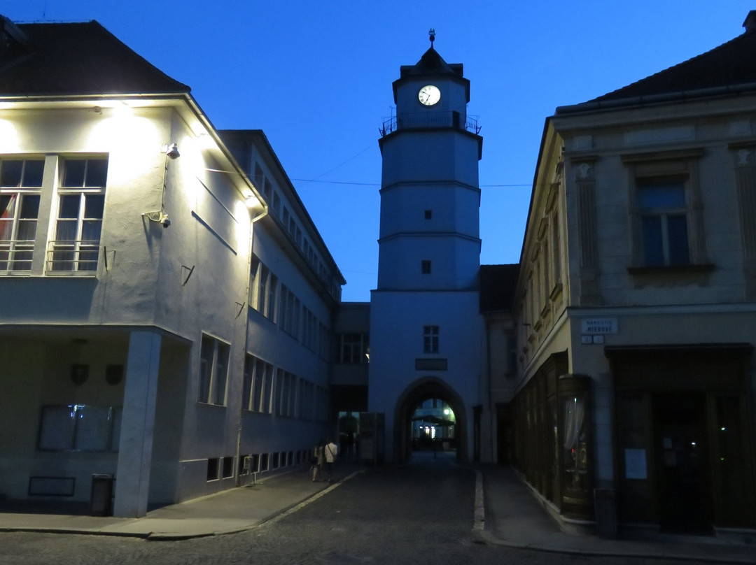 Trencin旅游景点-Mestska Veza