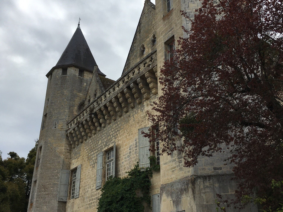 Chateau du Grand Puch景点图片