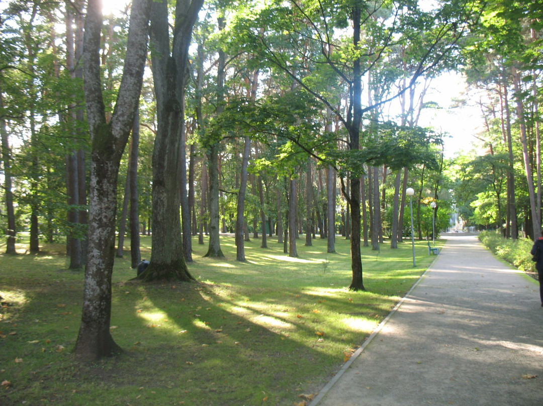 Alytus County旅游景点-Alytaus Miesto Parkas