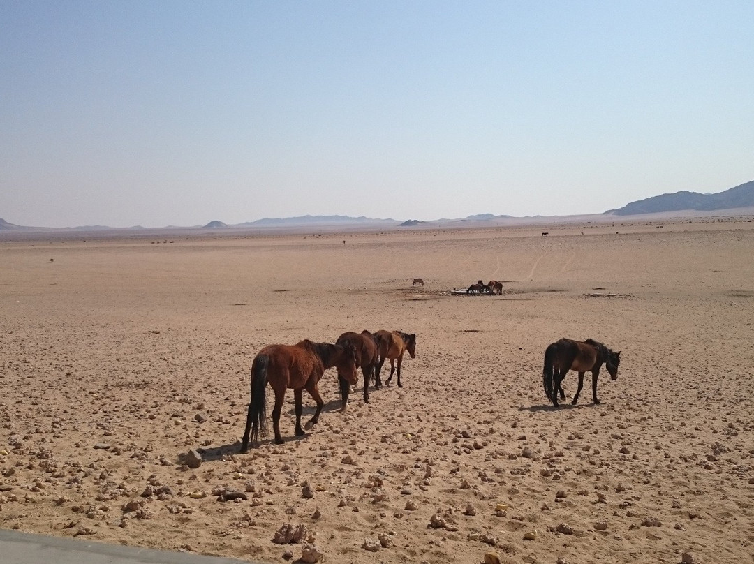 Aus旅游攻略图片